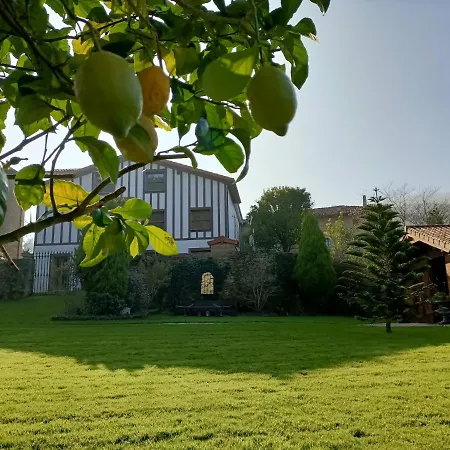 شقة 43a Nature With Parking By Aston Otañes